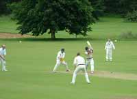 cricket.jpg