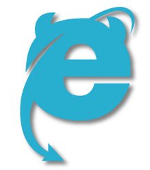 IE Log Parody